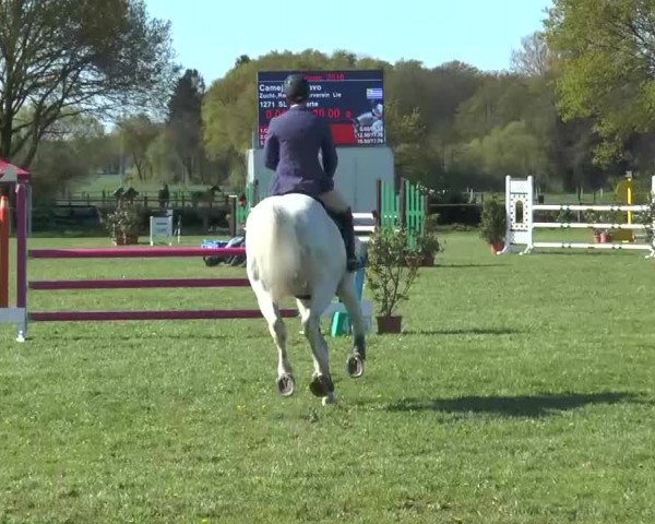 Reitturnier Lienen 2016