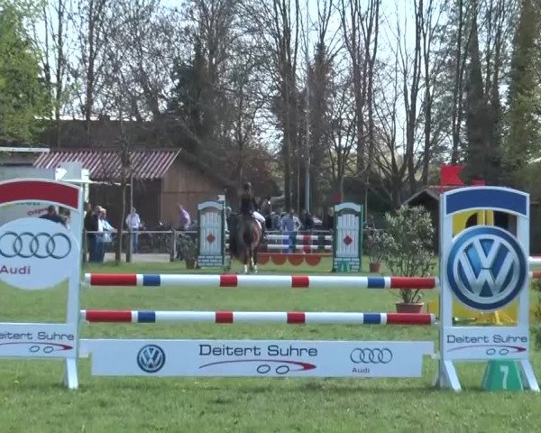Reitturnier Lienen 2016