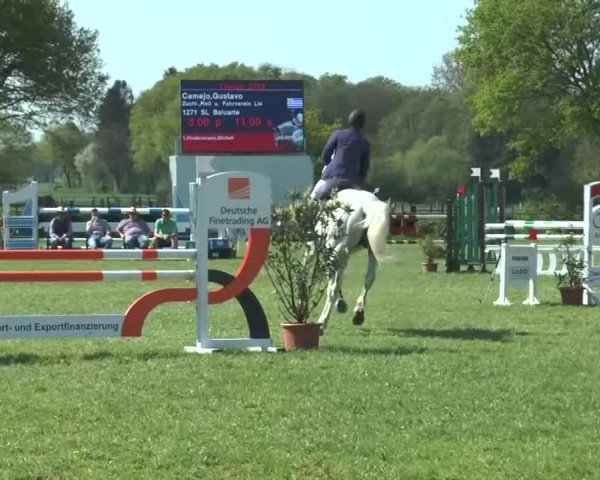 Reitturnier Lienen 2016