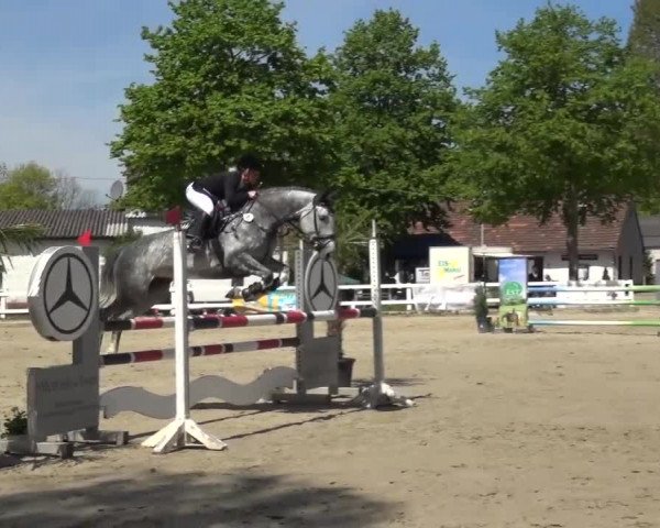 Reitturnier Köln-Seeberg 2016