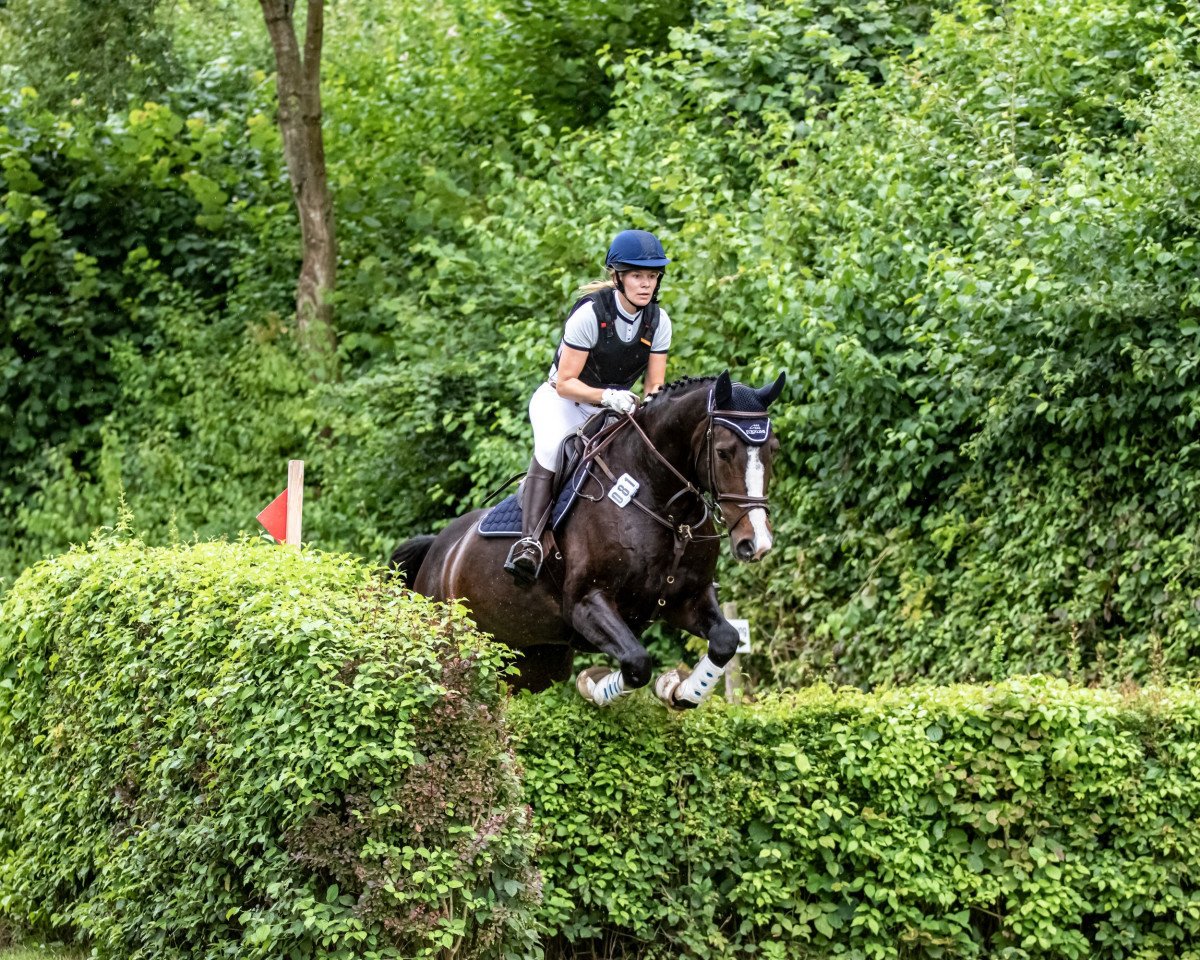 jumper Clasca (Holsteiner, 2010, from Clinton I)
