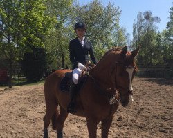 jumper Lennox Lui (Hanoverian, 2005, from Le Primeur)