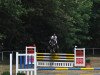 jumper Quest 11 (Oldenburg show jumper, 2012, from Quiz)