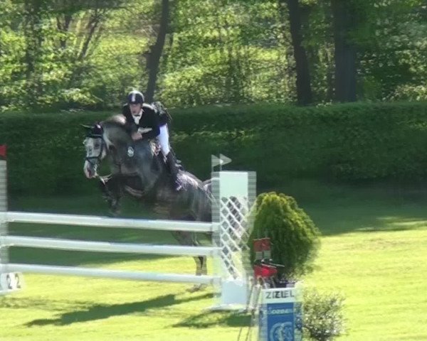 Reit- und Springturnier Jülich 2016