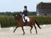 Dressurpferd Digne Etoile (Schweizer Warmblut, 2005, von Digne Coeur IA x)