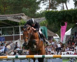 stallion Prodige des Etisses (Selle Français, 2003, from Robin Z)