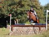 dressage horse Filippa (Oldenburg, 2009, from Farewell III)