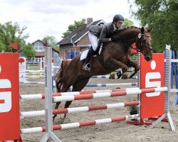 broodmare Rote Zora S (Hanoverian, 2010, from Red Rossini)