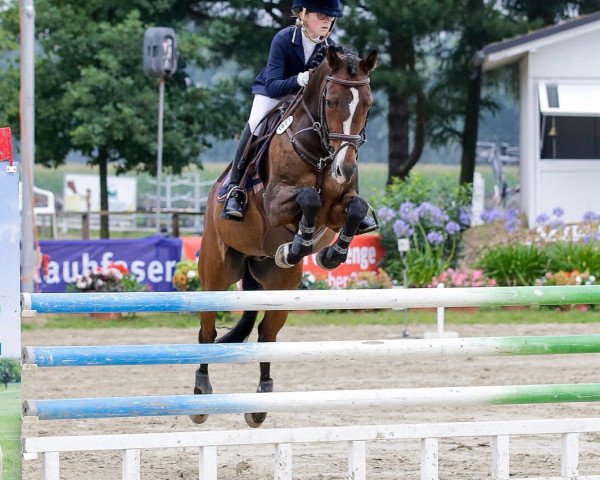 jumper Double-o-seven (German Riding Pony, 2003, from Deviano)
