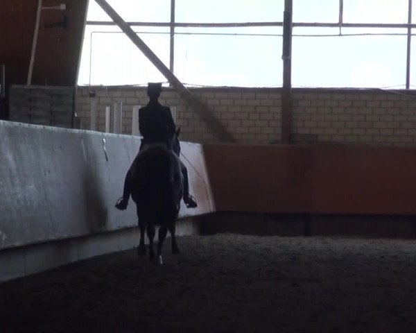 Reitturnier Hellefeld 2016