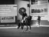 dressage horse Giggolo Il Piccolo Principe (German Riding Pony, 2008, from German Dancer 6)