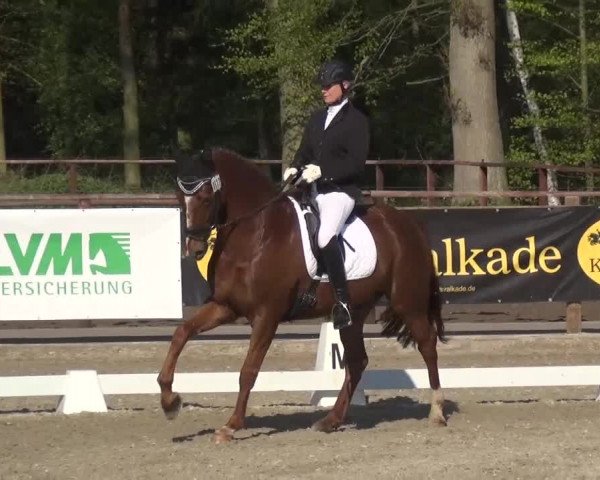 3. Holtkämper Dressurtage 2016