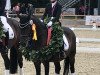 stallion Dornik Boy (German Riding Pony, 2001, from Dornik B)