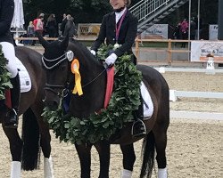 stallion Dornik Boy (German Riding Pony, 2001, from Dornik B)