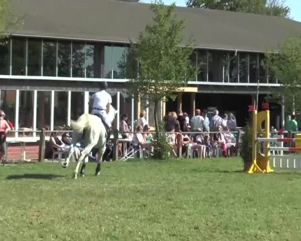 Reitturnier Lienen 2016