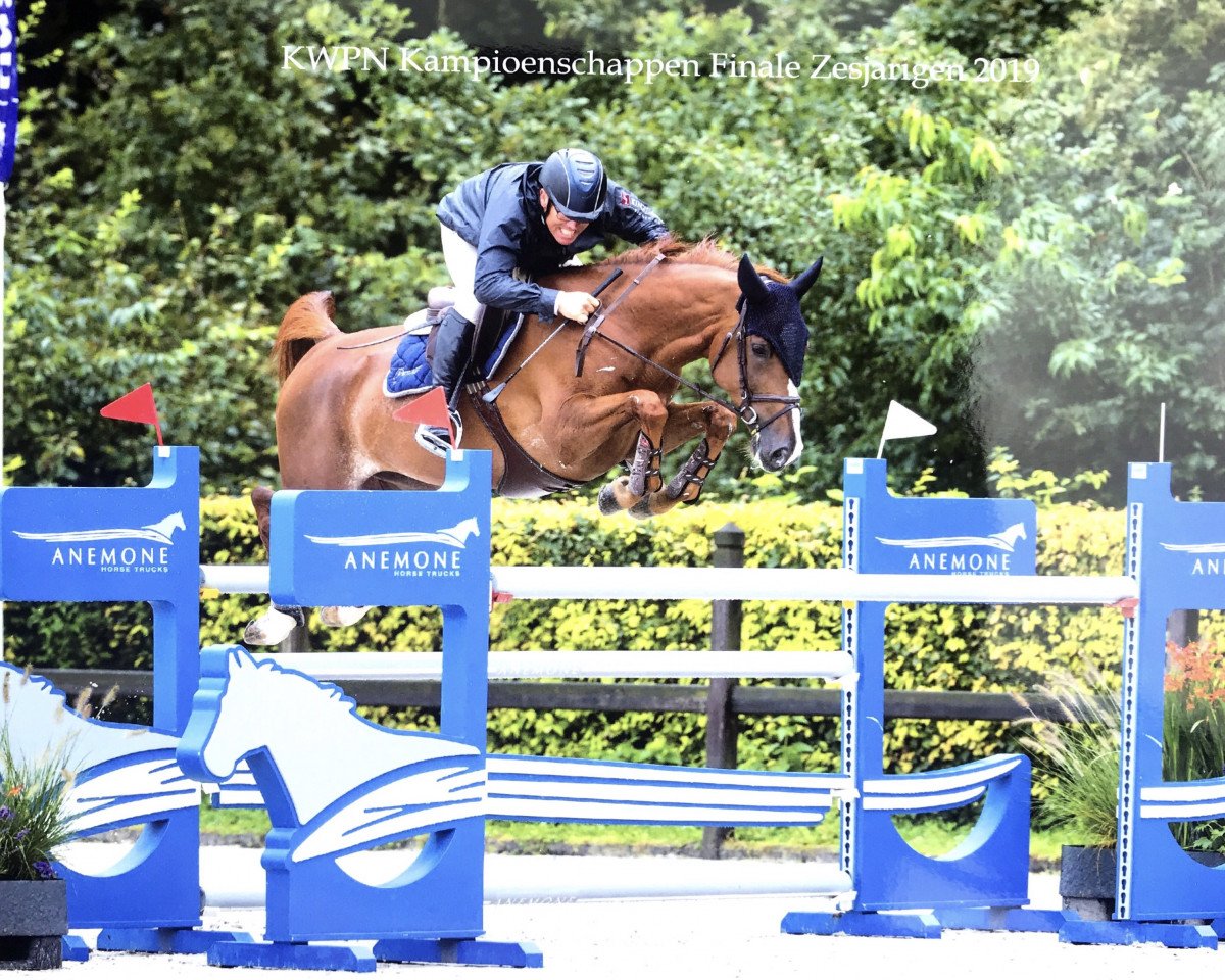 jumper Installera Balia Rs (KWPN (Royal Dutch Sporthorse), 2013, from Emerald van 't Ruytershof)