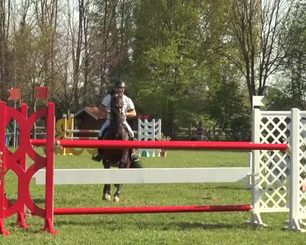 Reitturnier Lienen 2016