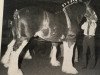 stallion Belleau Derward (Clydesdale, 1983, from Bardrill Ambassador)