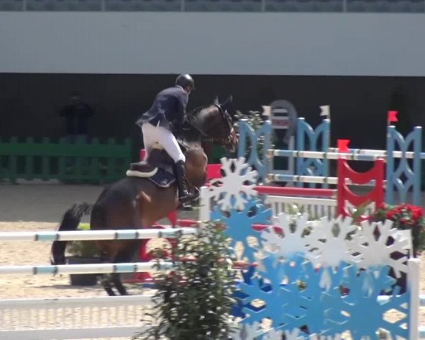 FEI Reitturnier Aachen (GER) 2016