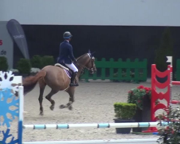 FEI Reitturnier Aachen (GER) 2016