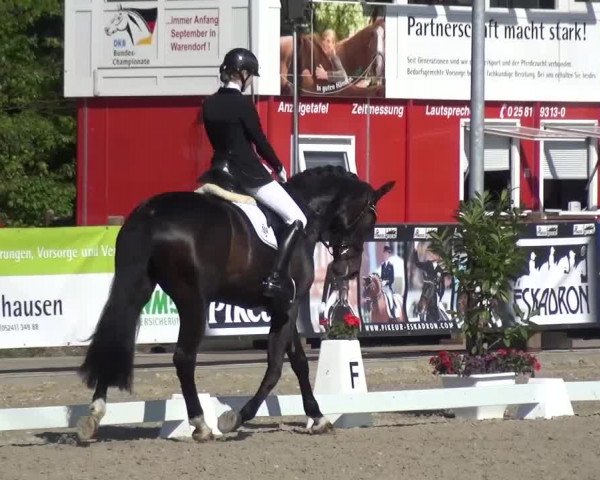3. Holtkämper Dressurtage 2016