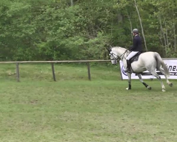 Reitturnier Jettingen 2016