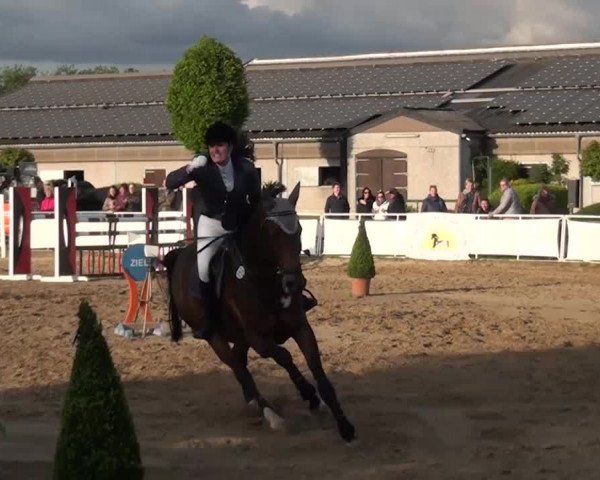 Reitturnier Frechen-Grefrath - Sonnenhof 2016