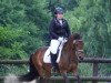 dressage horse Jamey (Belgian Warmblood, 2000)