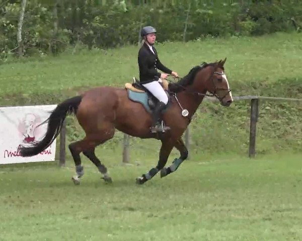 Reitturnier Jettingen 2016
