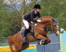 dressage horse Wallaska (Württemberger, 2000, from Unbekannt)