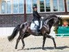 dressage horse Alstertraum 2 (Trakehner, 1999, from Schiffon)