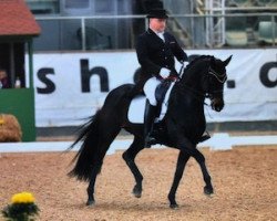 dressage horse Fin de Siecle (Oldenburg, 2004, from Florencio I)