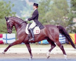 dressage horse Robespierre (Danish Warmblood, 1995, from Raimondo)