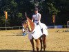 jumper Mira (Swedish Warmblood, 2008, from Favoritas xx)