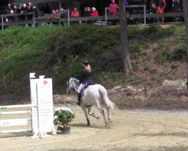 Reitturnier Iserlohn-Kalthof 2016