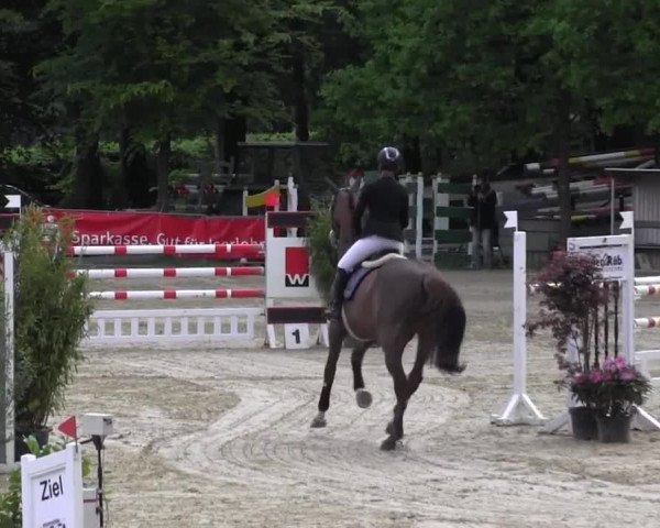 Reitturnier Iserlohn-Kalthof 2016