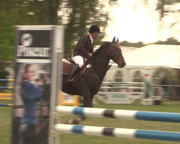 Reitturnier Kreuzkrug 2016