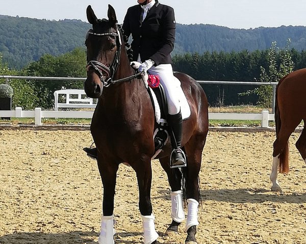dressage horse Frau Luna L (Oldenburg, 2014, from Rigamento OLD)