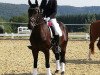 dressage horse Frau Luna L (Oldenburg, 2014, from Rigamento OLD)