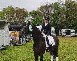 dressage horse Jupiter's Dark Moon (Trakehner, 2010, from Amadelio)