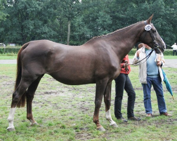 broodmare April Love ZH (Hanoverian, 1986, from Almé)