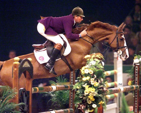 stallion Zalza (Hanoverian, 1987, from Zeus)