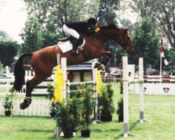 broodmare Gracina (KWPN (Royal Dutch Sporthorse), 1988, from Jasper)