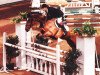 broodmare Jasperina (KWPN (Royal Dutch Sporthorse), 1991, from Ramiro Z)