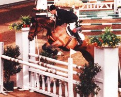 broodmare Jasperina (KWPN (Royal Dutch Sporthorse), 1991, from Ramiro Z)