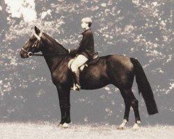 broodmare Ekini (Gelderland, 1963, from Simon Bolivar)