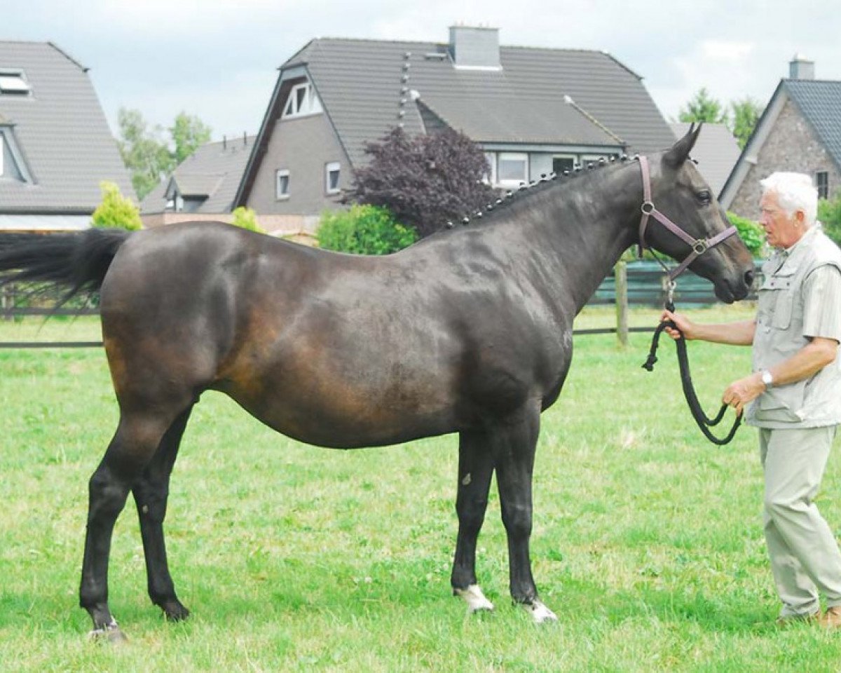 broodmare Pink Floyd (Rhinelander, 1990, from Polydor)