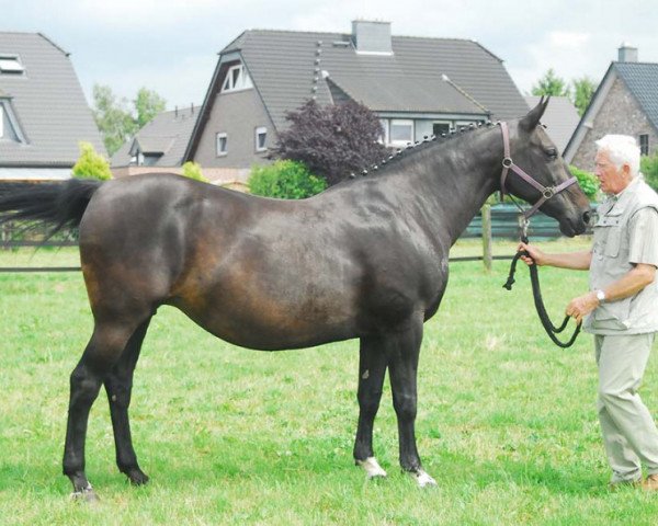 broodmare Pink Floyd (Rhinelander, 1990, from Polydor)