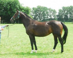 broodmare Pia (Rhinelander, 1997, from Pilot)