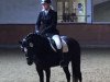 dressage horse Loverly Lady (German Riding Pony, 2012, from Popcorn WE)